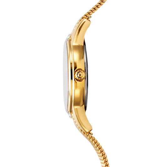 Reloj Festina F20495/1 Mujer Mademoiselle